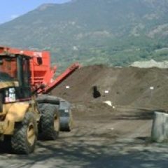 Compost_a_28ago09_7171